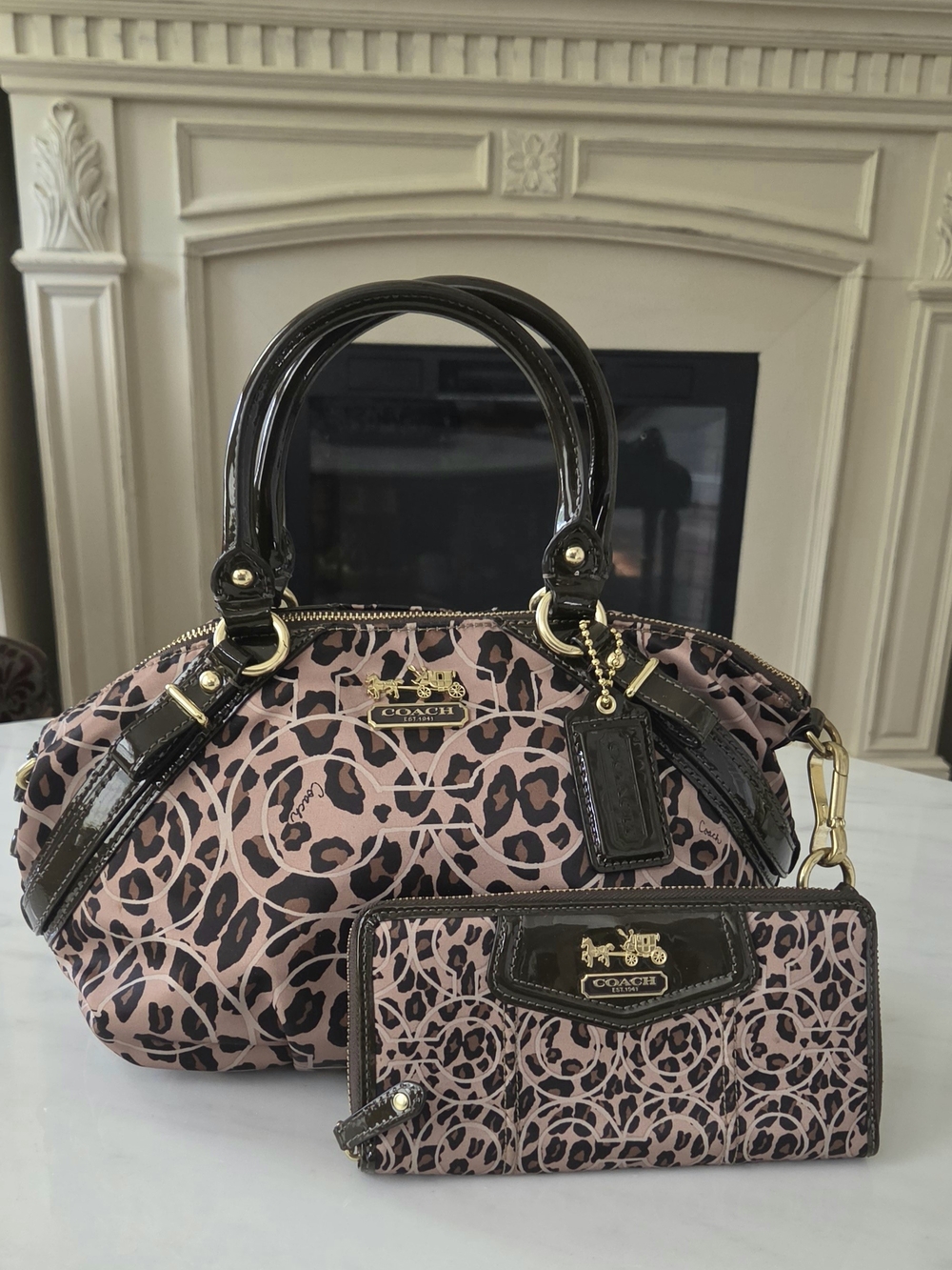 Coach Leopard-Print Satchel with Matching Wallet